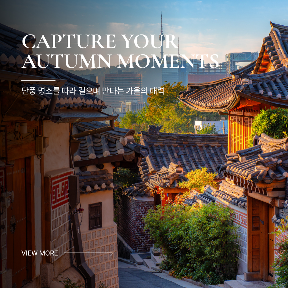 Capture Your Autumn Moments